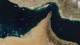 צילום: shutterstock